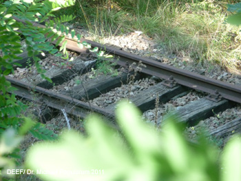 Eisenbahnarchologische Wanderung von Bozen ber Kardaun, Blumau, Atzwang nach Waidbruck. DEEF / Dr. Michael Populorum 2011